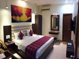 Deluxe Room::Hotel Veenus International