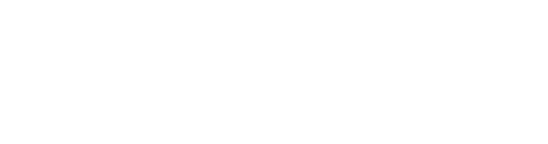 Hotel Veenus International
